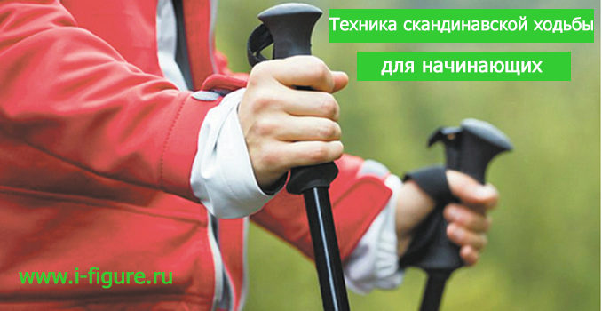скандинавская ходьба для начинающих техника скандинавской ходьбы