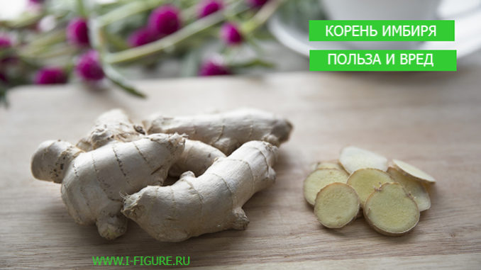 имбирь вред и польза корень имбиря вред и польза