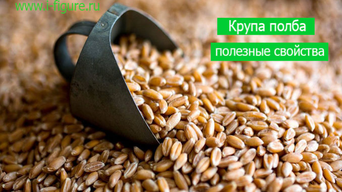 крупа полба полезные свойства крупа полба