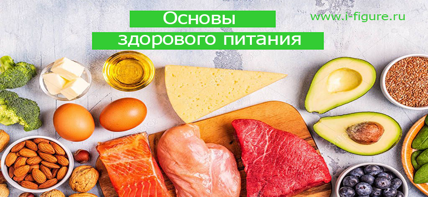 Новосибирский питание. Основы здорового питания. Здоровое питание Новосибирск. Программа основы здорового питания. «Основы здорового питания» программа логотип.