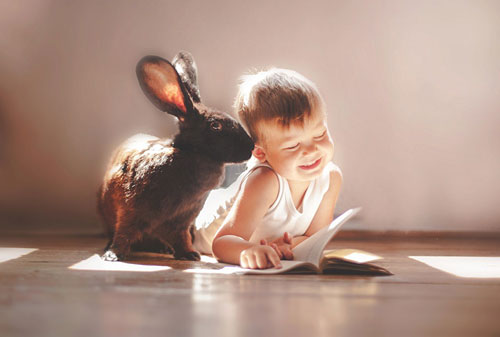 Лёгкие загадки про животных для детей: заяц