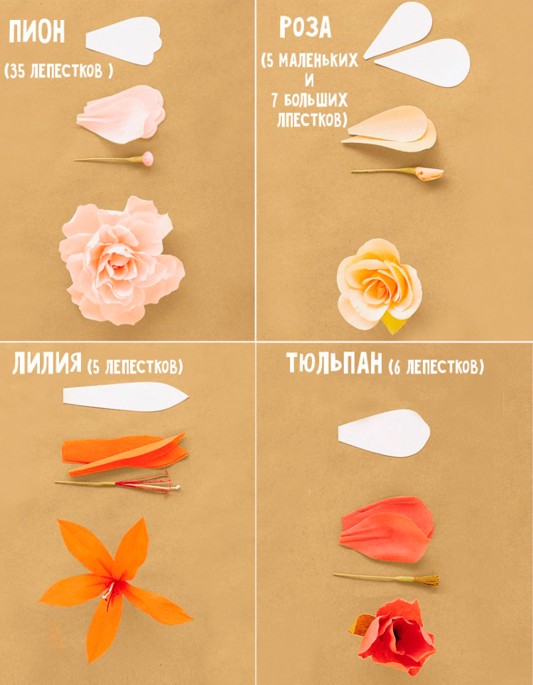 сделать цветы из цветной бумаги своими руками 10